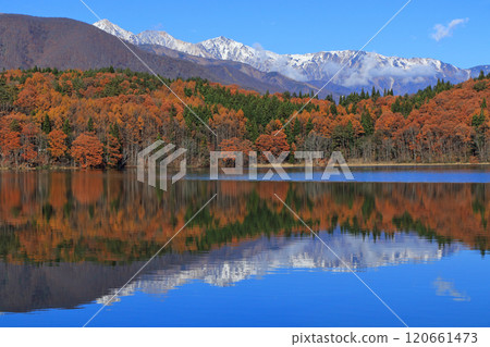 Lake Aoki in late autumn and Hakuba Miyama 120661473