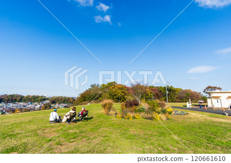 Late autumn: Looking out over Hachioji city from Koharubiyori Hill 120661610