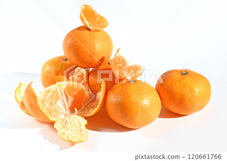 柑橘（西羽柑橘） 120661766