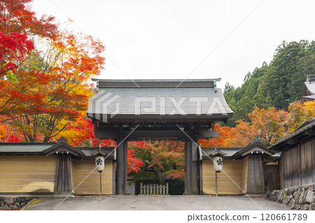 Tentoku-in Temple, the special head temple of Mount Koya, surrounded by autumn leaves Tentoku-in Temple, the special head temple of Mount Koya, surrounded by autumn leaves 120661789