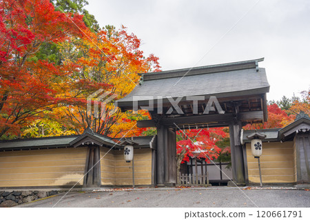 Tentoku-in Temple, the special head temple of Mount Koya, surrounded by autumn leaves Tentoku-in Temple, the special head temple of Mount Koya, surrounded by autumn leaves 120661791
