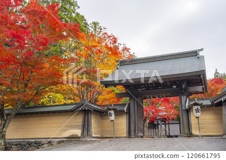 被秋葉籠罩的高野山特有的總寺天德院 被秋葉籠罩的高野山特有的總寺天德院 120661795