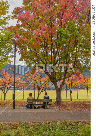 岡崎公園地區秋季京都城市景觀 岡崎公園地區秋季京都城市景觀 120662104