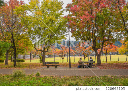 岡崎公園地區秋季京都城市景觀 120662105