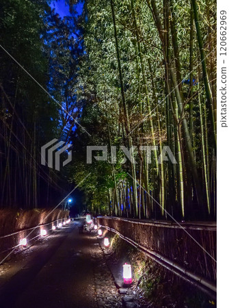 嵐山花燈竹林散步道 嵐山花燈竹林散步道 120662969