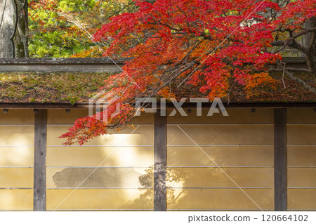 Mount Koya: Danjo Garan, Kangakuin Temple surrounded by autumn leaves Mount Koya: Danjo Garan, Kangakuin Temple surrounded by autumn leaves 120664102