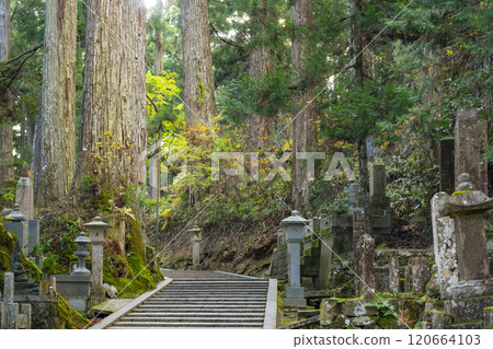 Koyasan Okunoin approach 120664103