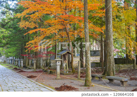 高野山、奧之院引道、一橋地區 高野山、奧之院引道、一橋地區 120664108