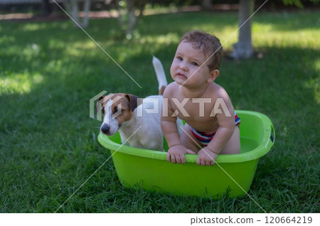 Cute boy bathes in a basin with a Jack Russell terrier dog outdoors in the summer. Cute boy bathes in a basin with a Jack Russell terrier dog outdoors in the summer. 120664219