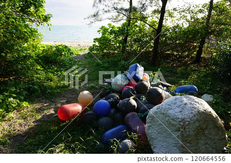 Marine plastic waste collects on beaches 120664556