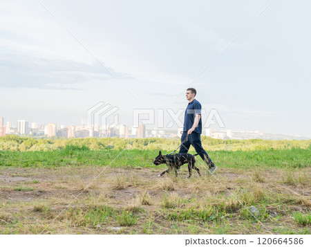 Man running with pit bull terrier outdoors. Man running with pit bull terrier outdoors. 120664586