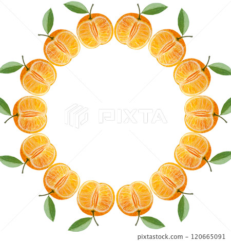 Tangerine round watercolor frame isolated on white. High quality hand drawn clip art perfect for food design, packages, restaurant menu, cards, poster, natural organic food ads, label, logo and decor Tangerine round watercolor frame isolated on white. High quality hand drawn clip art perfect for food design, packages, restaurant menu, cards, poster, natural organic food ads, label, logo and decor 120665091