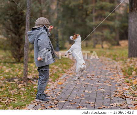 Caucasian boy playing with a dog for a walk in the autumn park. Caucasian boy playing with a dog for a walk in the autumn park. 120665428