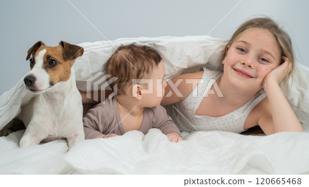 A little girl and her five-month-old brother and Jack Russell Terrier dog lie wrapped in a blanket. A little girl and her five-month-old brother and Jack Russell Terrier dog lie wrapped in a blanket. 120665468