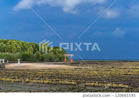 Aoshima Shrine, Miyazaki City, Miyazaki Prefecture 120665595