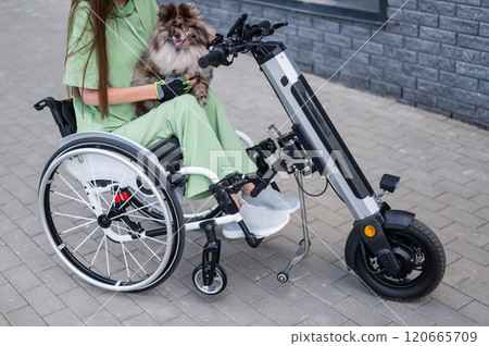 A woman in a wheelchair with a hand-control assist device carries a Spitz merle dog. Electric handbike.  120665709