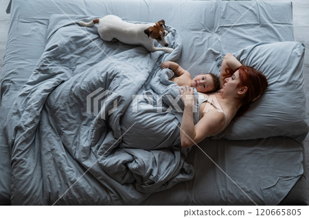 Top view of a red-haired Caucasian woman lying in bed with her baby son and Jack Russell terrier dog.  120665805