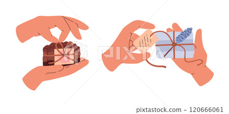 Set vectors illustrations of soap in hand, with labels, decorated with a lavender Set vectors illustrations of soap in hand, with labels, decorated with a lavender 120666061