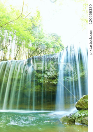 Kumamoto Prefecture Fresh green Nabegataki 120666320