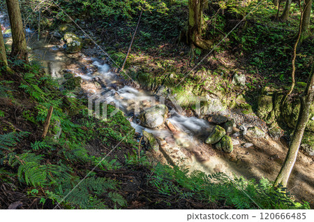 Kurama River, the clear stream of Kurama, Kyoto, Kyoto City Kurama River, the clear stream of Kurama, Kyoto, Kyoto City 120666485