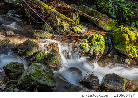 Kurama River, the clear stream of Kurama, Kyoto, Kyoto City Kurama River, the clear stream of Kurama, Kyoto, Kyoto City 120666487
