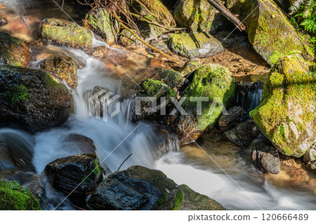 鞍馬川 京都 鞍馬的清流 京都市 120666489