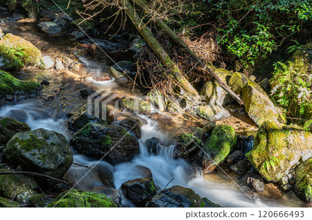 Kurama River, the clear stream of Kurama, Kyoto, Kyoto City 120666493
