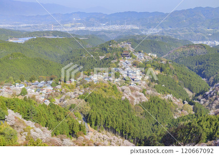 World heritage site in full bloom of cherry blossoms, Mt. Yoshino in the early morning World heritage site in full bloom of cherry blossoms, Mt. Yoshino in the early morning 120667092