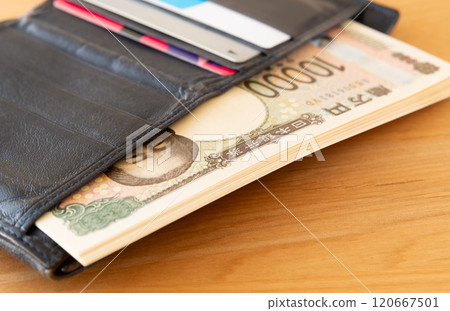 Wallet and banknotes, new banknotes, 10,000 yen note and wallet 120667501