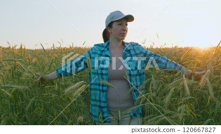 Woman Cheking Summer Harvest. Relax And Contemplation Of Nature. Agricultural Crop Management Concept. Woman Cheking Summer Harvest. Steadicam Shot. Woman Cheking Summer Harvest. Relax And Contemplation Of Nature. Agricultural Crop Management Concept. Woman Cheking Summer Harvest. Steadicam Shot. 120667827