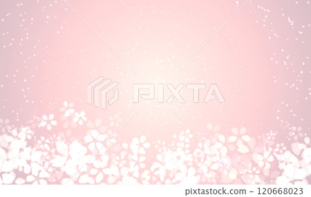 櫻花盛開的背景 櫻花盛開的背景 120668023