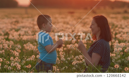 Young Woman And Little Boy Blow On A Dandelions. Beautiful Mother And Cute Little Boy Blowing Together Dandelion Seeds. Gimbal Stabilize. Young Woman And Little Boy Blow On A Dandelions. Beautiful Mother And Cute Little Boy Blowing Together Dandelion Seeds. Gimbal Stabilize. 120668142