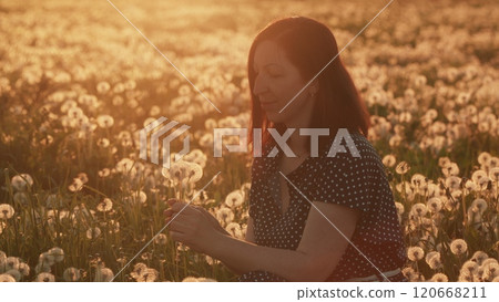 Woman Blowing On A Dandelion. Pretty Female With Golden Brown Hair Blowing Dandelion On Sunset Background. Slow motion. Woman Blowing On A Dandelion. Pretty Female With Golden Brown Hair Blowing Dandelion On Sunset Background. Slow motion. 120668211