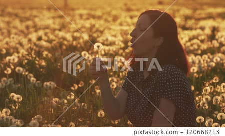 Beautiful Young Woman. Concept Of Joy And Dreams. Beautiful Woman Blowing On A Ripe Dandelion Whose Seeds Are Flying Around. Slow motion. Beautiful Young Woman. Concept Of Joy And Dreams. Beautiful Woman Blowing On A Ripe Dandelion Whose Seeds Are Flying Around. Slow motion. 120668213