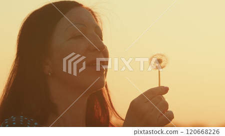 Beautiful Young Woman Blowing On Ripened Dandelion In Evening Against Sunset Sun. Woman Make A Wish And Blow Dandelion Flower Floret Seeds. Gimbal shot. 120668226