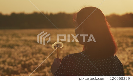 Portrait Of A Beautiful brunette Female Blowing On Ripened Dandelion. Adorable Smiling Woman Blowing On Dandelion. Gimbal shot. 120668239