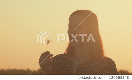 Beautiful Woman Blowing Dandelion On Meadow At Sunset. Pretty Brunette Blowing Dandelion Flower. Gimbal shot. 120668248