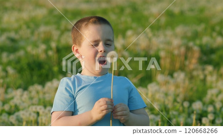 Happy Childhood. Small Boy Blowing Dandelion Seed Head. Beautiful 5 Year Old Child Blows A Fluffy Dandelion. Playful Little Boy Blows Dandelion. Gimbal shot. 120668266