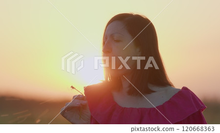 Brunette Woman In A Dress Enjoying Summer In Countryside At Sunset. Beautiful Young Woman In A Field Blow Dandelion. Steadicam Shot. Brunette Woman In A Dress Enjoying Summer In Countryside At Sunset. Beautiful Young Woman In A Field Blow Dandelion. Steadicam Shot. 120668363