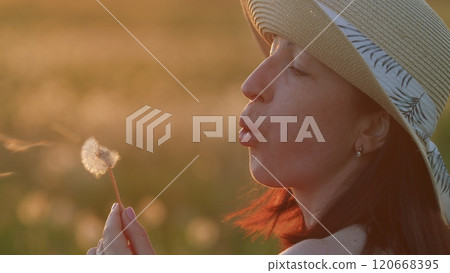 Woman Blowing On Dandelion. Woman Holds A Dandelion. Caucasian Happy woman Blowing Dandelions In Summer Countryside At Sunset. Steadicam Shot. Woman Blowing On Dandelion. Woman Holds A Dandelion. Caucasian Happy woman Blowing Dandelions In Summer Countryside At Sunset. Steadicam Shot. 120668395