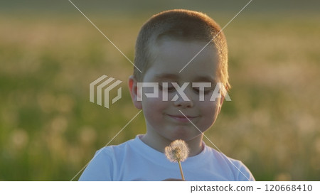 Happy Childhood In Lush Meadows Symbolizing Freedom. Human And Nature. Cheerful Boy Plays With Dandelion Flower. Summer Evening. Gimbal shot. 120668410