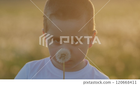 Child Plays In Park In Warm Weather. Happy Childhood Natures Embrace. Boy Child Blowing Dandelion At Sunset Autumn Or Summer Sunny Meadow. Gimbal Stabilize. 120668411