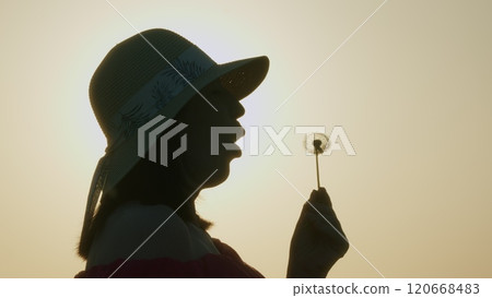 Beauty - Young Woman Blowing Dandelion. Female Enjoying Beautiful Nature At Summer Sunset. Field Of Dandelions. Concept Of Youth. Gimbal shot. Beauty - Young Woman Blowing Dandelion. Female Enjoying Beautiful Nature At Summer Sunset. Field Of Dandelions. Concept Of Youth. Gimbal shot. 120668483