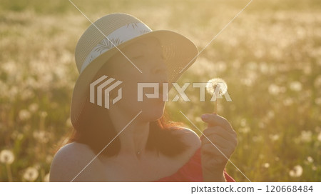 Woman Blowing On Dandelion. Woman Holds A Dandelion. Caucasian Happy woman Blowing Dandelions In Summer Countryside At Sunset. Gimbal shot. Woman Blowing On Dandelion. Woman Holds A Dandelion. Caucasian Happy woman Blowing Dandelions In Summer Countryside At Sunset. Gimbal shot. 120668484