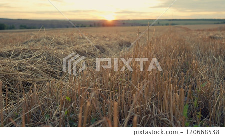 Beautiful Natural Landscape In Countryside Farm. Concept Of Work In Agronomic Farm And Production Of Organic Fodder. Steadicam Shot. 120668538