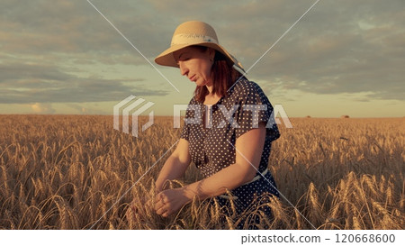 Woman In A Dress Touches An Ear Of Ripe Golden Wheat With Her Hands In Wheat Field. Good Mood Stands In Yellow Field. Moves slowly. Woman In A Dress Touches An Ear Of Ripe Golden Wheat With Her Hands In Wheat Field. Good Mood Stands In Yellow Field. Moves slowly. 120668600