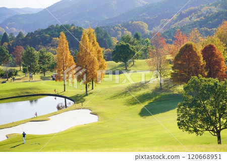 Fairy-tale-like autumn foliage on the fairway 4 120668951