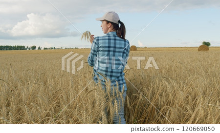 Portrait Of Pretty Caucasian Woman In golden Field. Farmer Woman Walks Through Rural Field. Woman Farmer Working On Wheat Field. Moves slowly. Portrait Of Pretty Caucasian Woman In golden Field. Farmer Woman Walks Through Rural Field. Woman Farmer Working On Wheat Field. Moves slowly. 120669050
