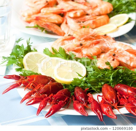 Cooked shrimp and crayfish on plate close up 120669180