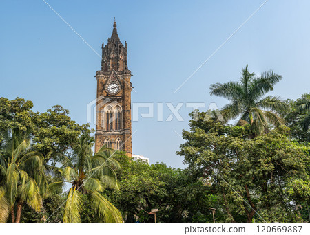 Mumbai, India - 24 November 2024: Historic Rajabai Clock Tower in Mumbai, showcasing beautiful Gothic design, surrounded by lush green trees, set against a clear blue sky, popular landmark 120669887